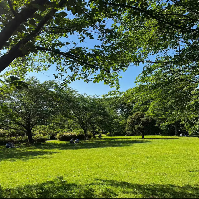 🌈龍崗小童公園～色彩世界 🌈