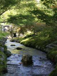 Summer Serenity at Eikando Temple: A Hidden Kyoto Gem