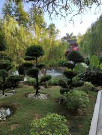 A Scenic Escape at China-Malaysia Friendship Garden