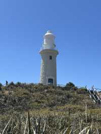 A Day at Pinky Beach, Rottnest Island