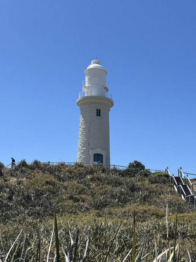 A Day at Pinky Beach, Rottnest Island