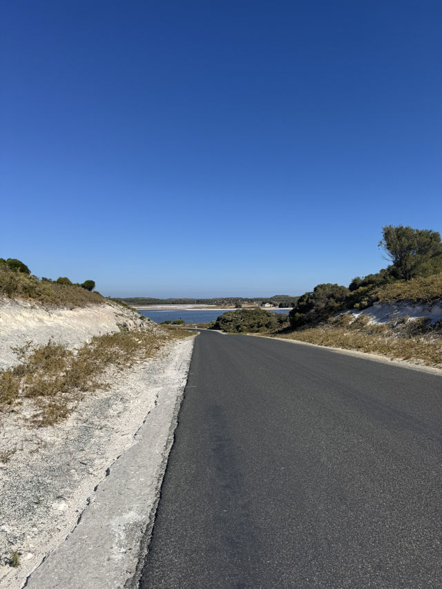 Rottnest Island Cycling Guide