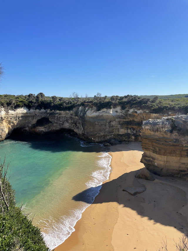 【メルボルン】世界一美しい海岸道路🇦🇺