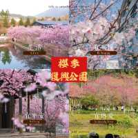 復興公園：在“櫻花盛開的日子裡，心情也跟著綻放” 🌸😊