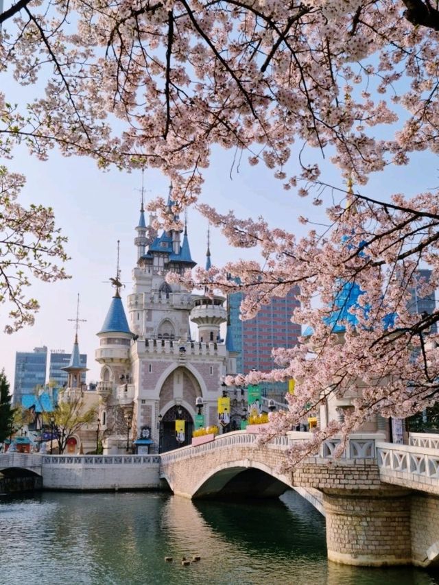 서울 봄꽃 명소 모음🩷