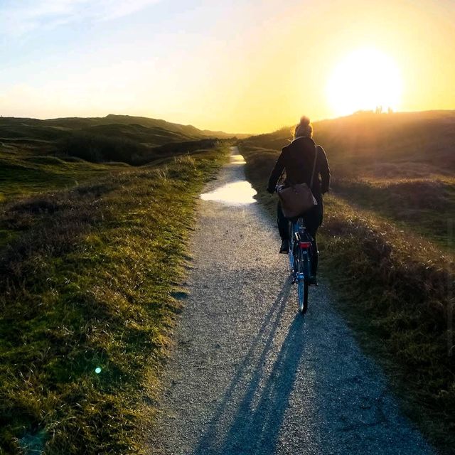 Dunes of Texel National Park