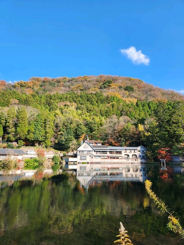 가을의 큐슈 여행기 🍁✨ – 후쿠오카부터 이토시마까지