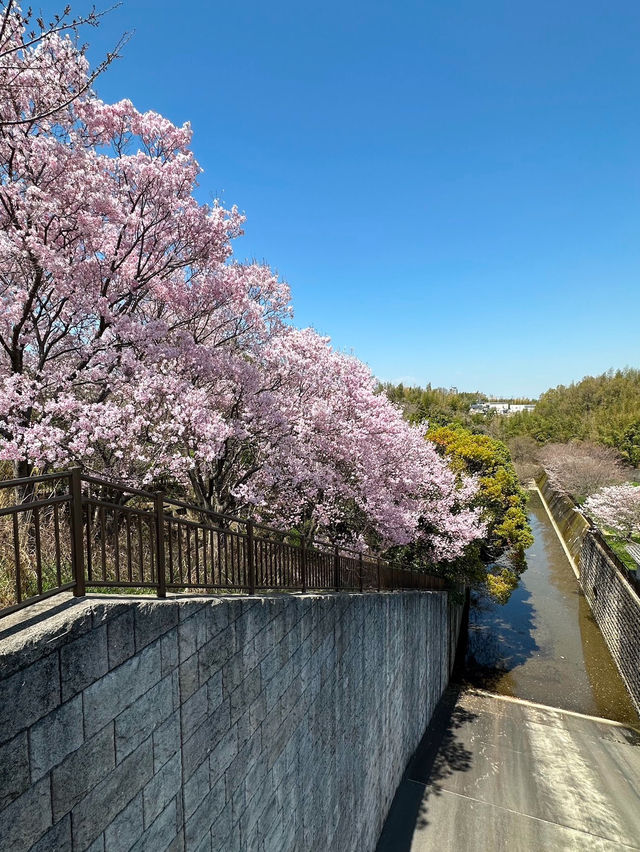 Osaka Prefectural Sayamaike Park