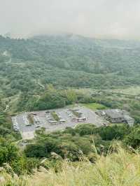 冷水坑步道⛰️芒草季✨