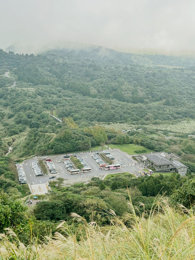冷水坑步道⛰️芒草季✨