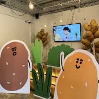 【春川】🇰🇷 ジャガイモ畑