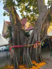 ทำบุญที่วัดศาลาปูนวรวิหาร