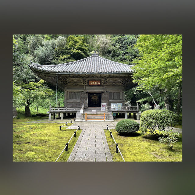 松島（宮城）
