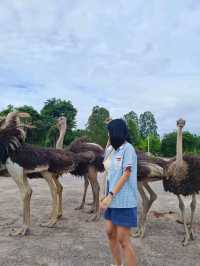 ลม ราชบุรี 