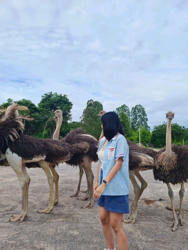 ลม ราชบุรี 