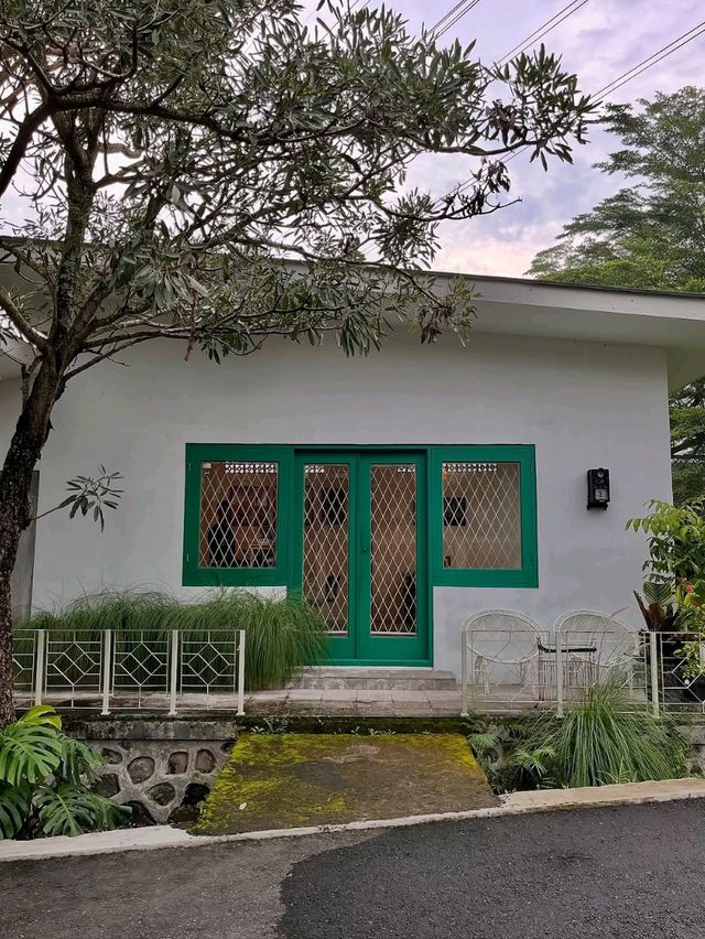 jovincojogja