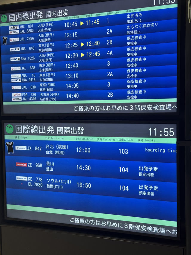 🇯🇵국내선이 중심이던 공항