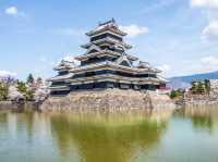 Chasing Sakura at Matsumoto Castle