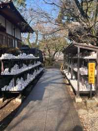 東京豪德寺 