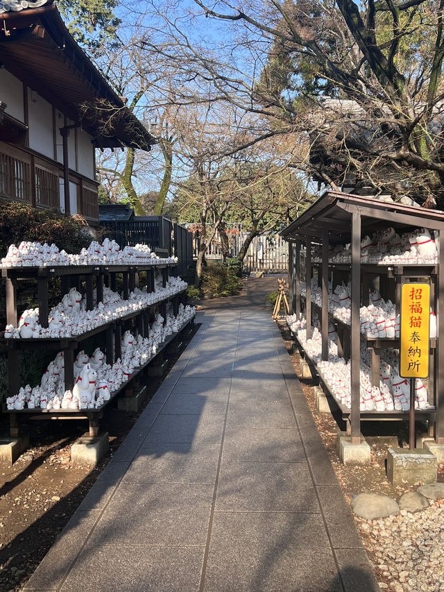 東京豪德寺 