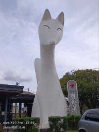 乘JR自由行賞花回憶