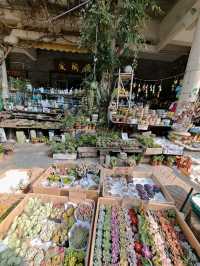 Exploring the Timeless Charm of SHI WAN GONG ZAI Jie in Foshan