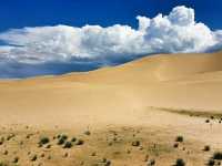 Sustainable Adventure at Khongor Sand Dunes, Mongolia