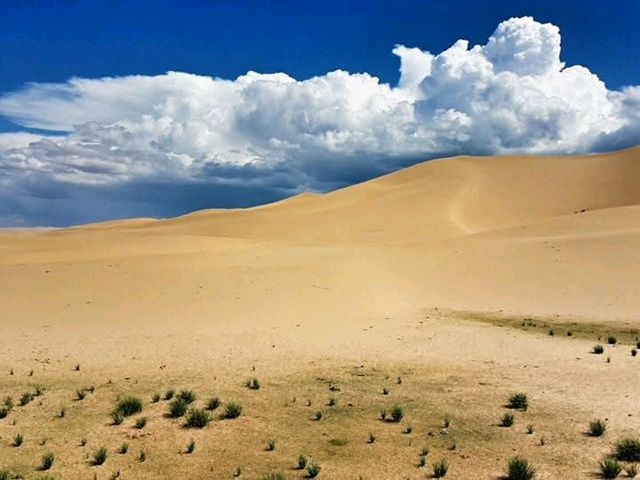 Sustainable Adventure at Khongor Sand Dunes, Mongolia