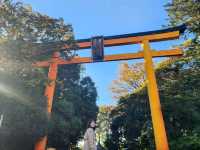 Solo Travel to Kawagoe: My One-Day Adventure from Tokyo🎏