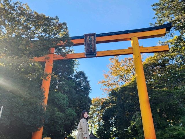 Solo Travel to Kawagoe: My One-Day Adventure from Tokyo🎏