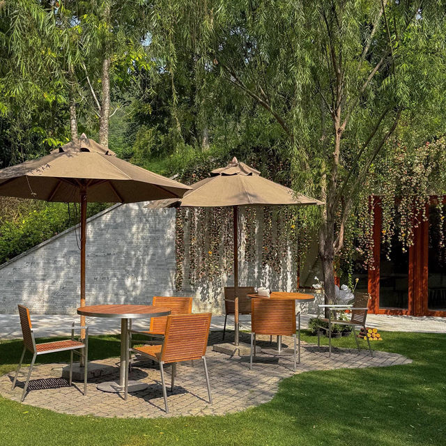 Rabbit Café • Hotel Labaris, Khao Yai 🌳🏠🐇🌕