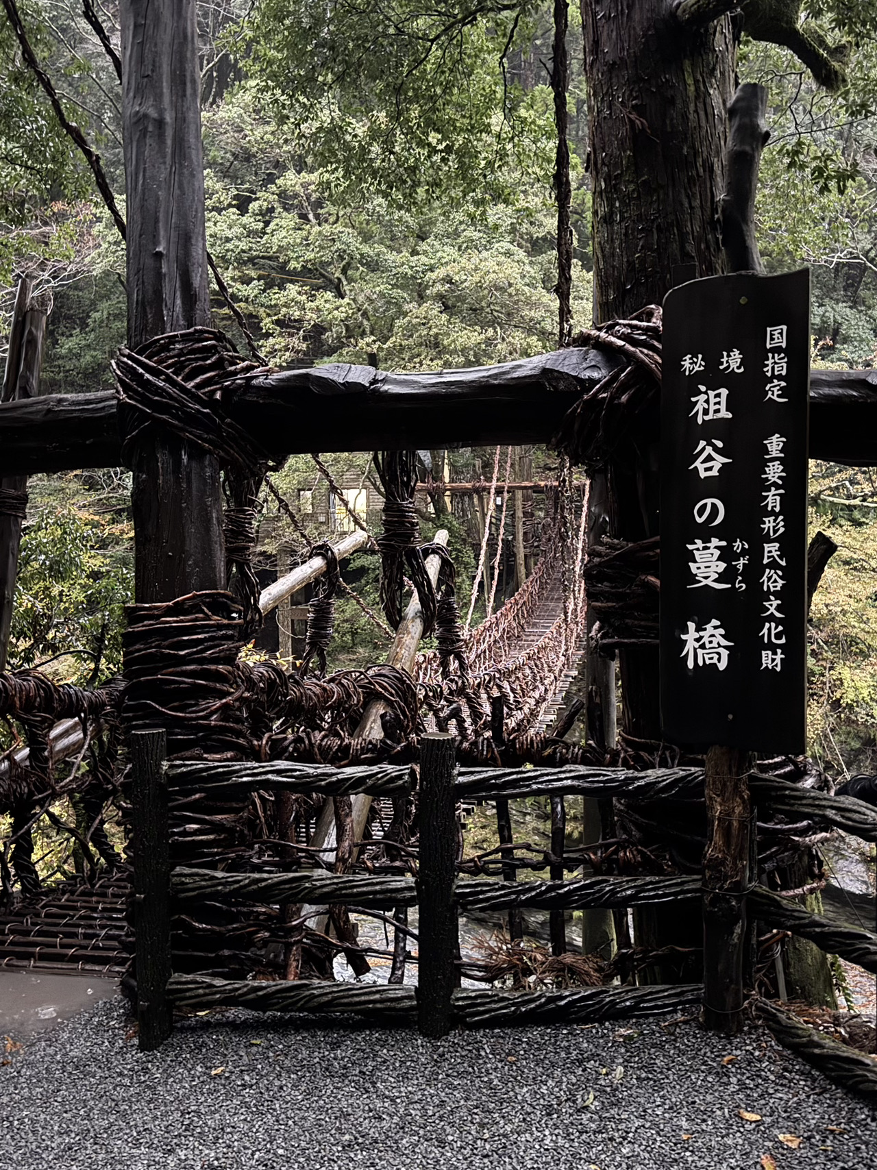 葛橋ページ かずら橋 - Wikipedia