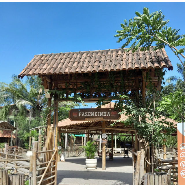 ボア・ジ・フリオ公園（ブラジル・リオデジャネイロ） – 静寂の中に広がる熱帯植物の楽園 