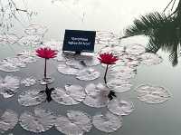 Wandering Through Stillness: A Solo Day at the Chinese and Japanese Gardens in Singapore