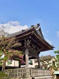 Spring Visit to Daigyoji Temple – A Hidden Floral Sanctuary in Kamakura