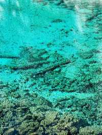 Jiuzhaigou: A Snowy Wonderland of Tranquil Beauty