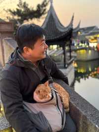Xitang: A Purr-fect Paradise for Cat Lovers