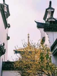 中國上海著名景點：廣富林文化遺址，適合打卡拍照📸