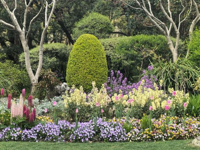 Shanghai Zhongshan Park – Where Century-Old History Meets Urban Oasis