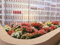 เที่ยวงานดอกไม้ Wondrous Bloom 