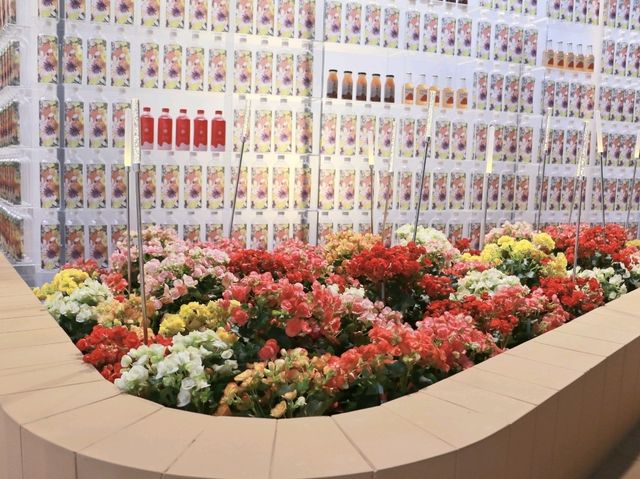 เที่ยวงานดอกไม้ Wondrous Bloom 