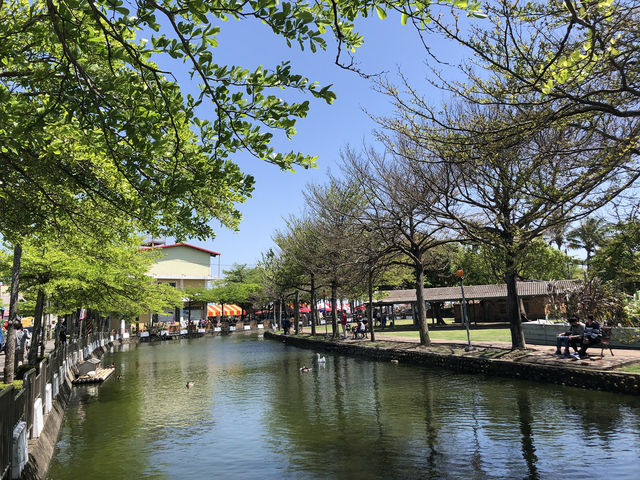 學甲蜀葵花季一日輕旅行～花牆爆炸美