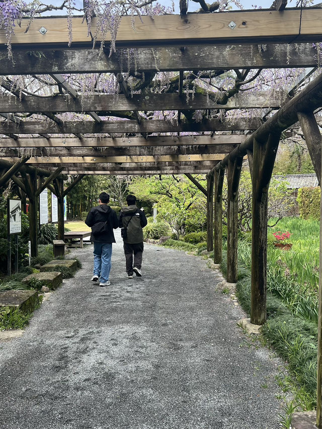 日本四國