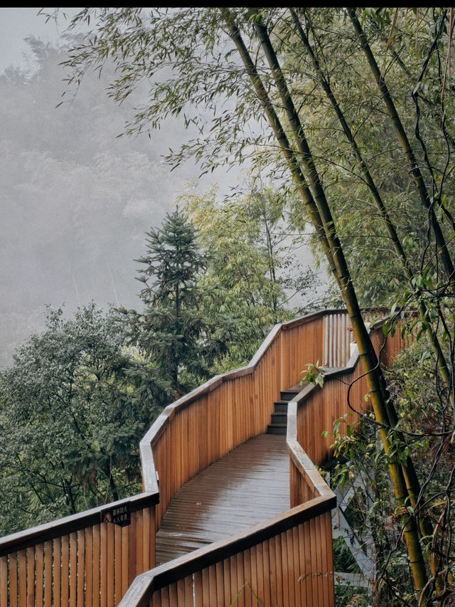 Step Into a Real-Life Emerald Wonderland Breathe Deep in the Bamboo Sea of Southern Sichuan 