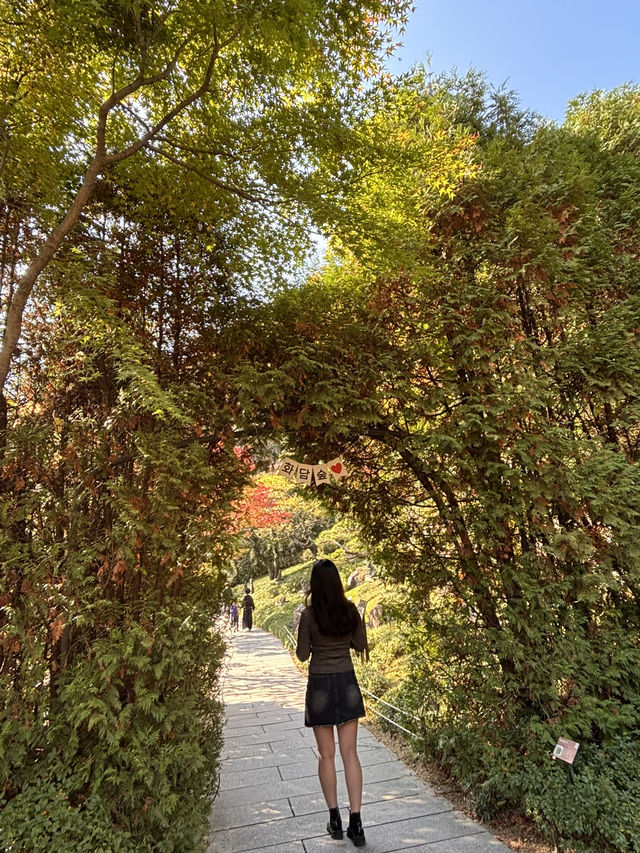 🍁 단풍이 내려앉은 숲, 가을의 화담숲 🌳✨ 