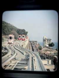 Having Moment in Busan 