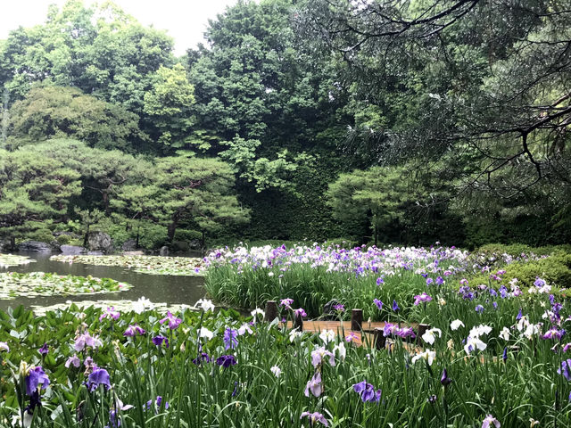 しっとり京都さんぽ⛩️平安神宮神苑×法観寺×祇園の街並み 