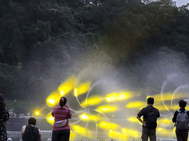 新店小獅頭山登高望遠去