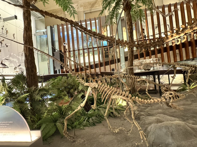 國立台灣博物館-古生物館竟然也是金融博物館！