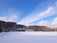 北海道旅遊🥳參觀富田農場😍免費任玩迷你雪兜場🤣刺激好玩🥰欣賞大自然雪景❄️